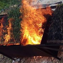 Calçotadas
