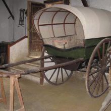 Museo del Campo